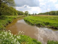 NL, Drenthe, Tynaarlo, Drentse Aa, Oudemolen 3, Saxifraga-Bart Vastenhouw