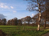 NL, Drenthe, Tynaarlo, Eelderdiep 1, Saxifraga-Hans Dekker