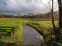 NL, Drenthe, Tynaarlo, Vries, Runsloot 2, Saxifraga-Hans Dekker