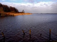 NL, Drenthe, Tynaarlo, Zuidlaardermeer-zuid 1, Saxifraga-Hans Dekker