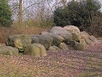 NL, Drenthe, Westerveld, Diever 1, Saxifraga-Hans Dekker