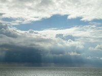 NL, Flevoland, Lelystad, IJsselmeer 1, Saxifraga-Foto Fitis-Sytske Dijksen