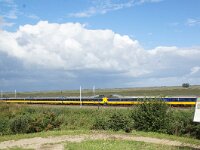 NL, Flevoland, Lelystad, Kotterbos 2, Saxifraga-Foto Fitis-Sytske Dijksen