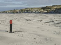 NL, Friesland, Terschelling, Boschplaat 38, Saxifraga-Jan van der Straaten