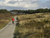 NL, Friesland, Terschelling, Griltjeplak 19, Saxifraga-Marijke Verhagen