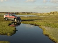 NL, Friesland, Terschelling, Groede 16, Saxifraga-Jan van der Straaten