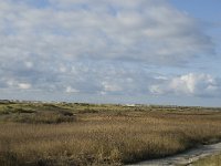 NL, Friesland, Terschelling, Noordsvaarder 17, Saxifraga-Marijke Verhagen