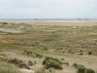 NL, Friesland, Terschelling, Noordsvaarder 7, Saxifraga-Hans Boll