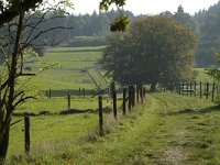 NL, Gelderland, Arnhem, Klarenbeek 18, Saxifraga-Marijke Verhagen