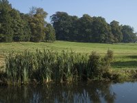 NL, Gelderland, Arnhem, Sonsbeek 7, Saxifraga-Marijke Verhagen