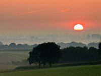 Sun is coming up over farmland  Sun is coming up over farmland : Netherlands, SHADOW, agrarische, agricultural, agriculture, atmosphere, back, beauty, biotoop, bomen, boom, color, colorful, country, countryside, creatief, creative nature, dageraad, dawn, daybreak, dusk, dutch, environment, farm, farmland, field, fog, foggy, geel, gelderland, gloed, gloeiend, glow, glowing, gras, grass, green, groen, groesbeek, haze, hazy, hemel, heuvel, heuvels, hill, hills, holland, horizon, kant, kleur, kleurrijk, land, landbouw, landbouwgrond, landelijk, landscape, landschap, licht, lit, milieu, mist, mistig, misty, mood, morning, mysterieus, mysterious, mystic, mystical, mystiek, mystieke, natural, nature, natuur, natuurlijk, natuurlijke, nederland, nederlands, nederrijk, nevel, nevelig, niemand, nobody, non-urban, ochtend, ochtendgloren, omgeving, opkomst, orange, oranje, pasture, platteland, roze, rudmer zwerver, ruraal, rural, scene, scenery, scenic, schaduw, schaduwen, schemering, schoonheid, scène, serene, sfeer, shade, shades, side, silhouet, silhouette, silhouetted, sky, stemming, summer, sundown, sunrise, sunset, tegenlicht, tree, uitzicht, upcoming, veld, view, wazig, weide, yellow, zomer, zonsondergang, zonsopgang