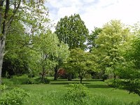 Arboretum Belmonte #16396 : Arboretum Belmonte, Wageningen