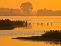 orange glow zuidlaardermeer  orange glow during sunrise over lake zuidlaardermeer : Netherlands, Zuidlaardermeer, autumn, biotoop, bird, birds, dusk, dutch, europa, europe, european, europese, fall, fog, gloed, glow, haze, herfst, herfstkleur, holland, lake, landscape, landschap, lucht, meer, mist, natura 2000, natural, nature, nature conservation, nature reserve, natuur, natuurbehoud, natuurlijk, natuurlijke, natuurreservaat, nederland, nederlands, nevel, omgeving, onnerpolder, oostpolder, orange, oranje, reed, riet, rudmer zwerver, schemering, sky, sunrise, uitzicht, vogel, vogels, water, wetland, zonsopgang