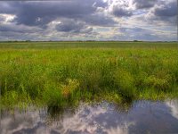 dutch polder landscape  typical dutch polder with brooding sky : Polder, aan het water, agrarische, agricultural, agriculture, beautiful, beauty, blauw, blue, calm, canal, clean, cloud, clouds, colour, country, creation, creative nature, ditch, drain, dutch, fresh, freshwater, fris, gras, grass, green, groen, groningen, holland, kalm, kanaal, kleur, land, landbouw, landelijk, landscape, landschap, lente, licht, light, lucht, management, meadow, mood, natural, nature, natuur, natuurlijk, nederland, niemand, nobody, reed, reeds, reflectie, reflection, riet, rudmer zwerver, rural, schoon, sky, sloot, spring, springtime, stunning, summer, water, waterfront, waterkwaliteit, waterlevel, watermangement, waterquality, waterschap, weide, wolk, wolken, zoet water, zomer