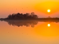 Sunset is reflecting  Sunset is reflecting in mirror like lake : Noordenveld, atmosphere, autumn, calm, creative nature, dageraad, dawn, dusk, dutch, geel, hemel, herfst, holland, kalm, lake, lakeside, landscape, landschap, leekstermeer, lente, licht, light, meer, mist, natura 2000, natural, nature, natuur, natuurlijke, nederland, nederlands, nevel, nevelig, orange, oranje, peace, quiet, reflect, reflecteren, reflectie, reflection, rudmer zwerver, rust, schemering, sereen, serene, sfeer, silhouette, sky, spectaculair, spectacular, spring, summer, sun, sunbeam, sunlight, sunray, sunrise, sunset, sunshine, tranquil, twilight, vogels, vredig, water, yellow, zomer, zon, zonlicht, zonneschijn, zonnestraal, zonsondergang, zonsopgang
