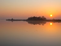 Sunset and bush  Sunset and bush are reflecting in lake : Noordenveld, atmosphere, autumn, calm, creative nature, dageraad, dawn, dusk, dutch, geel, hemel, herfst, holland, kalm, lake, lakeside, landscape, landschap, leekstermeer, lente, licht, light, meer, mist, natura 2000, natural, nature, natuur, natuurlijke, nederland, nederlands, nevel, nevelig, orange, oranje, peace, quiet, reflect, reflecteren, reflectie, reflection, rudmer zwerver, rust, schemering, sereen, serene, sfeer, silhouette, sky, spectaculair, spectacular, spring, summer, sun, sunbeam, sunlight, sunray, sunrise, sunset, sunshine, tranquil, twilight, vredig, water, yellow, zomer, zon, zonlicht, zonneschijn, zonnestraal, zonsondergang, zonsopgang