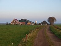 NL, Groningen, Stadskanaal, Alteveer 4, Saxifraga-Hans Dekker