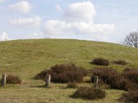 NL, Limburg, Bergen, de Hamert, Koningsgraf 1, Saxifraga-Foto Fitis-Sytske Dijksen
