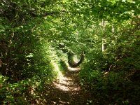 NL, Limburg Gulpen-Wittem 4, Saxifraga-Foto Fitis-Sytske Dijksen