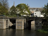 NL, Noord-Brabant, 's-Hertogenbosch, Binnendieze 2, Saxifraga-Jan van der Straaten