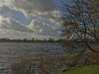 NL, Noord-Brabant, 's-Hertogenbosch, Bossche Broek 17, Saxifraga-Jan van der Straaten