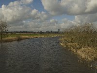 NL, Noord-Brabant, 's-Hertogenbosch, Bossche Broek 37, Saxifraga-Jan van der Straaten