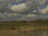 NL, Noord-Brabant, 's-Hertogenbosch, Bossche Broek 43, Saxifraga-Jan van der Straaten