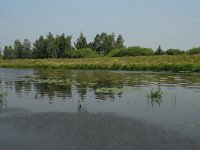 NL, Noord-Brabant, 's-Hertogenbosch, Bossche broek 16, Saxifraga-Willem van Kruijsbergen
