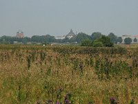 NL, Noord-Brabant, 's-Hertogenbosch, Bossche broek 18, Saxifraga-Willem van Kruijsbergen