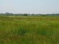 NL, Noord-Brabant, 's-Hertogenbosch, Bossche broek 23, Saxifraga-Willem van Kruijsbergen