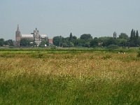 NL, Noord-Brabant, 's-Hertogenbosch, Bossche broek 24, Saxifraga-Willem van Kruijsbergen