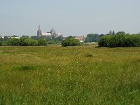 NL, Noord-Brabant, 's-Hertogenbosch, Bossche broek 27, Saxifraga-Willem van Kruijsbergen