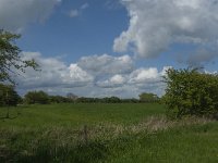 NL, Noord-Brabant, 's-Hertogenbosch, De Koornwaard 11, Saxifraga-Jan van der Straaten