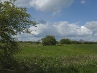 NL, Noord-Brabant, 's-Hertogenbosch, De Koornwaard 12, Saxifraga-Jan van der Straaten