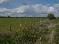 NL, Noord-Brabant, 's-Hertogenbosch, De Koornwaard 13, Saxifraga-Jan van der Straaten