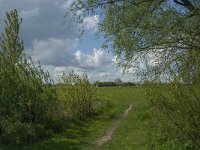 NL, Noord-Brabant, 's-Hertogenbosch, De Koornwaard 16, Saxifraga-Jan van der Straaten