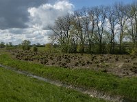 NL, Noord-Brabant, 's-Hertogenbosch, De Koornwaard 20, Saxifraga-Jan van der Straaten