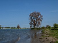 NL, Noord-Brabant, 's-Hertogenbosch, De Koornwaard 47, Saxifraga-Jan van der Straaten