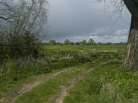 NL, Noord-Brabant, 's-Hertogenbosch, De Koornwaard 6, Saxifraga-Jan van der Straaten