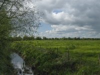 NL, Noord-Brabant, 's-Hertogenbosch, De Koornwaard 8, Saxifraga-Jan van der Straaten