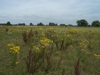 NL, Noord-Brabant, 's-Hertogenbosch, Empelse Dijk 4, Saxifraga-Willem van Kruijsbergen