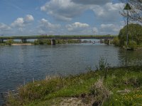 NL, Noord-Brabant, 's-Hertogenbosch, Empelse Waard 14, Saxifraga-Marijke Verhagen