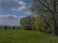 NL, Noord-Brabant, 's-Hertogenbosch, Empelse Waard 2, Saxifraga-Marijke Verhagen