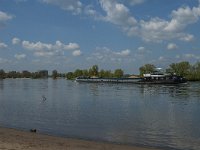 NL, Noord-Brabant, 's-Hertogenbosch, Empelse Waard 4, Saxifraga-Marijke Verhagen