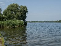 NL, Noord-Brabant, 's-Hertogenbosch, Engelermeer 1, Saxifraga-Marijke Verhagen