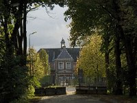 NL, Noord-Brabant, 's-Hertogenbosch, Fort Isabella 4, Saxifraga-Jan van der Straaten