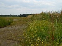 NL, Noord-Brabant, 's-Hertogenbosch, Moerputten 21, Saxifraga-Willem van Kruijsbergen