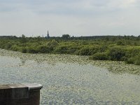 NL, Noord-Brabant, 's-Hertogenbosch, Moerputten 29, Saxifraga-Willem van Kruijsbergen