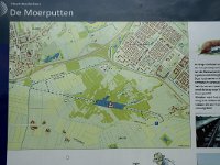 NL, Noord-Brabant, 's-Hertogenbosch, Moerputten 41, Saxifraga-Willem van Kruijsbergen