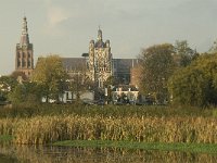 NL, Noord-Brabant, 's-Hertogenbosch, Sint Jan 5, Saxifraga-Jan van der Straaten